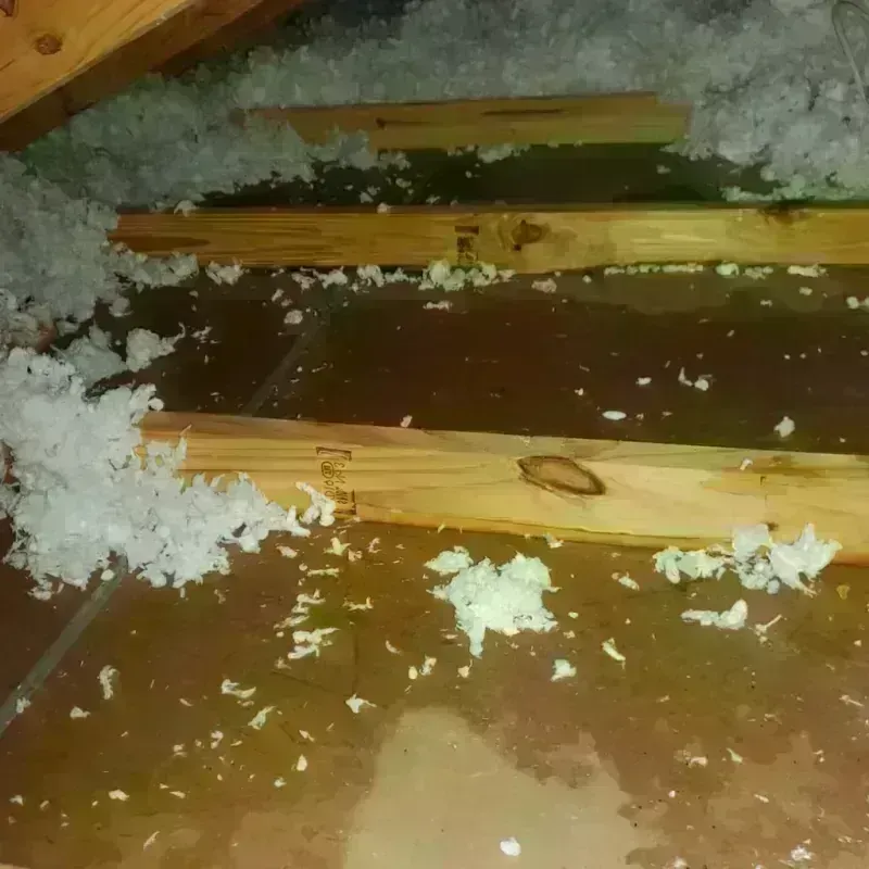 Attic Water Damage in Niland, CA